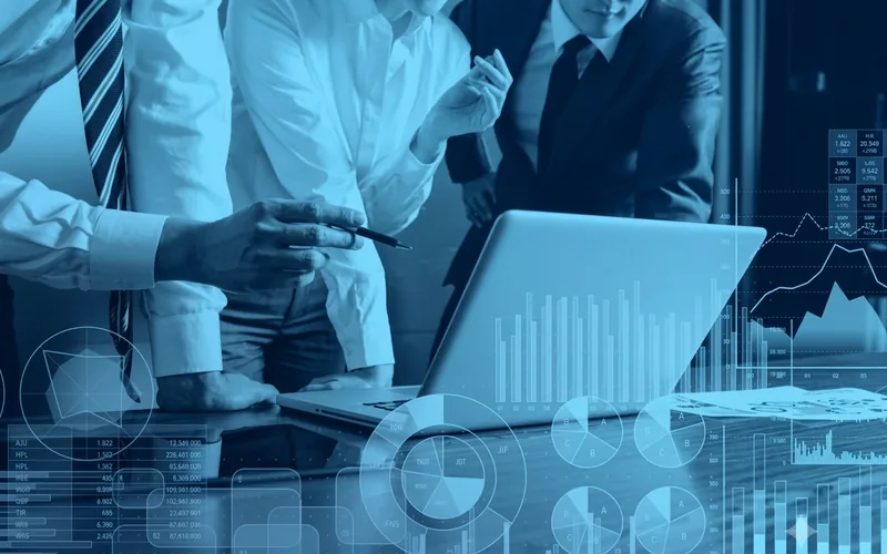 IT consultant advising on business strategy